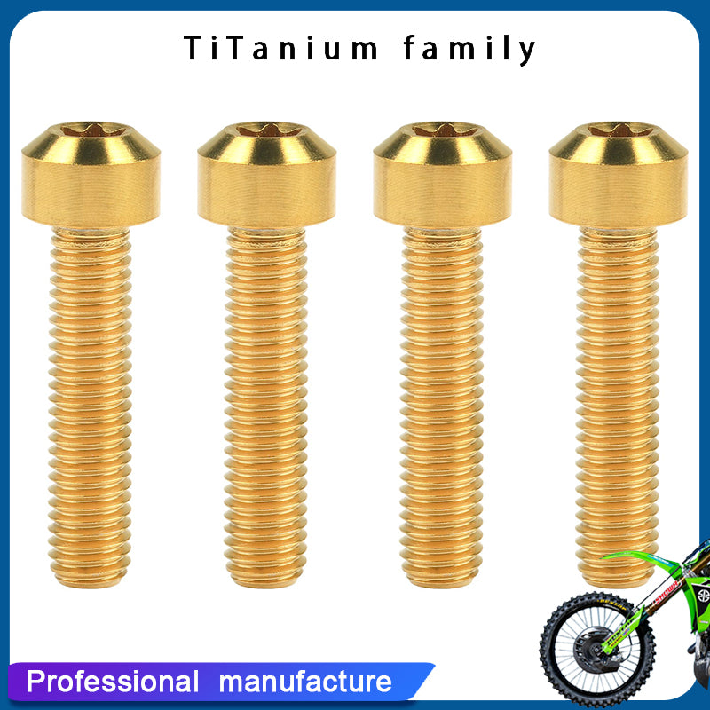 Titanium Bolt M8x25/30mm Torx Head Screws for Motorcycle Car Refit Fastener Pack of 4