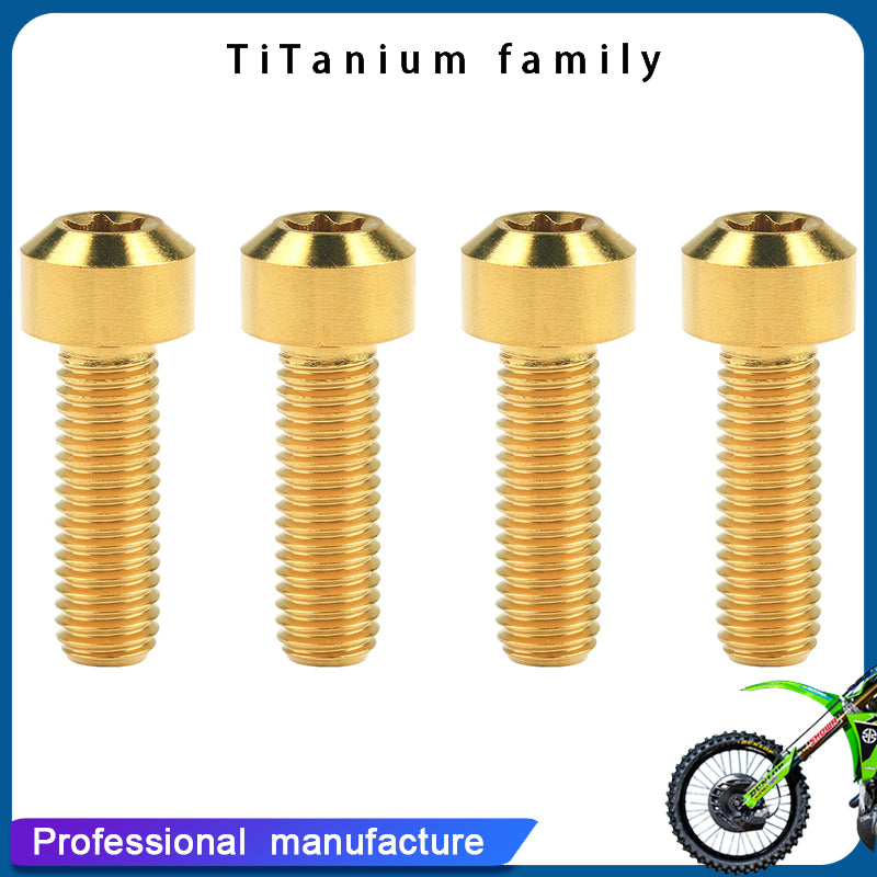 Titanium Bolt M8x25/30mm Torx Head Screws for Motorcycle Car Refit Fastener Pack of 4