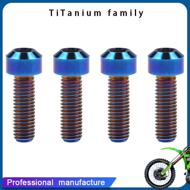 Titanium Bolt M8x25/30mm Torx Head Screws for Motorcycle Car Refit Fastener Pack of 4